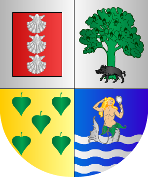 ESCUDO SIGUIENTE